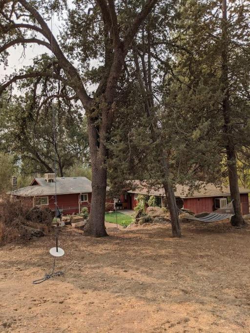 Sleeping Wolf Guest House Oakhurst Exteriér fotografie